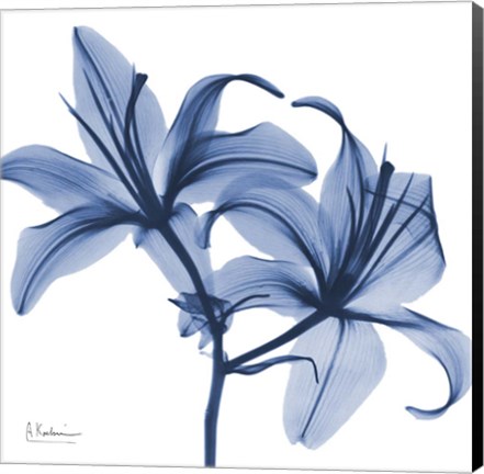 Framed Indigo Infused Lily Print