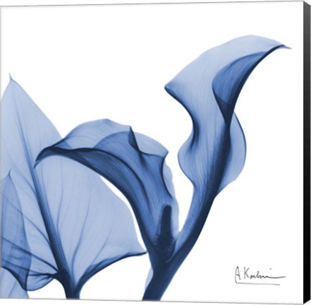 Framed Indigo Calla Love Print