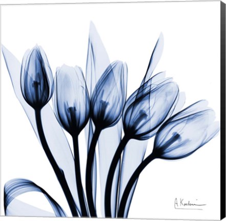 Framed Marvelous Indigo Tulips Print