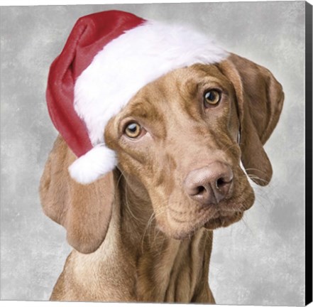 Framed Christmas Pup 1 Print