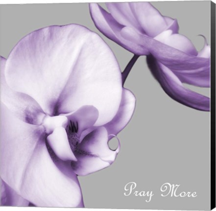 Framed Praying Orchids Print