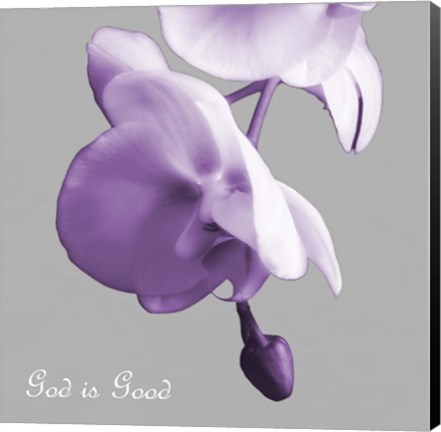 Framed Godly Good Orchids Print