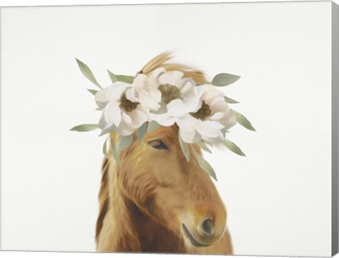 Framed Floral Horse Print