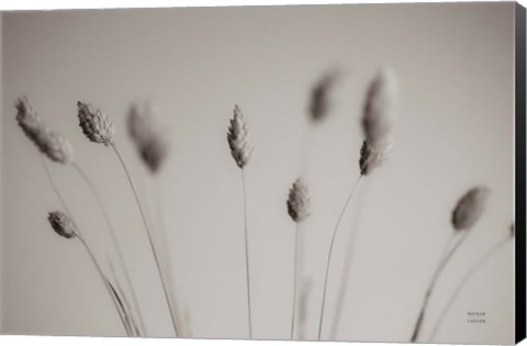 Framed Natural Grasses Print