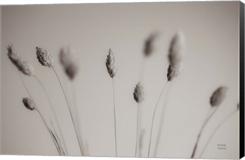 Framed Natural Grasses Print