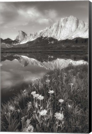 Framed Pronghorn and Dragon Head Peaks BW Print