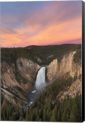 Framed Lower Falls of the Yellowstone River II Print