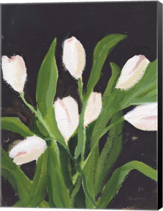 Framed White Tulips on Black (1) Print