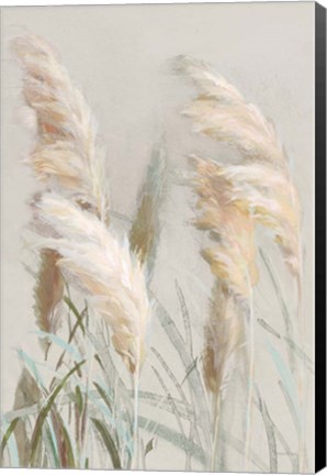 Framed Neutral Pampas Grasses III Print