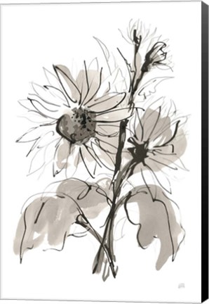 Framed Ink Sunflower I Print