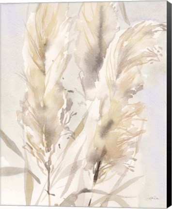 Framed Light Pampas Grasses II Print