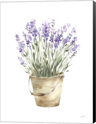 Framed Potted Lavender Print