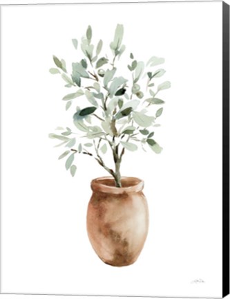 Framed Potted Olive Tree Print