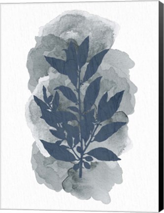 Framed Leaf Silhouette 1 Print