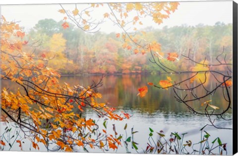 Framed Autumn Pond Print