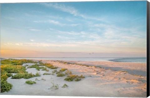 Framed Morning Beach Print