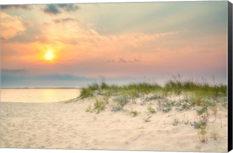 Framed Morning Beach 2 Print