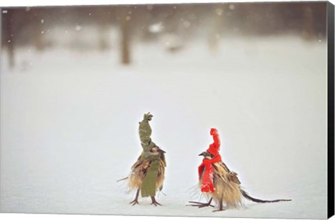 Framed Weathered Feathered Friends Print