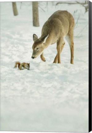 Framed Winter Squirrel and Deer Print