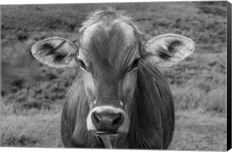 Framed Dairy Barn BW Print