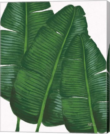 Framed Emerald Banana Leaves II Print