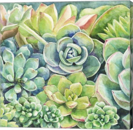 Framed Succulents Print