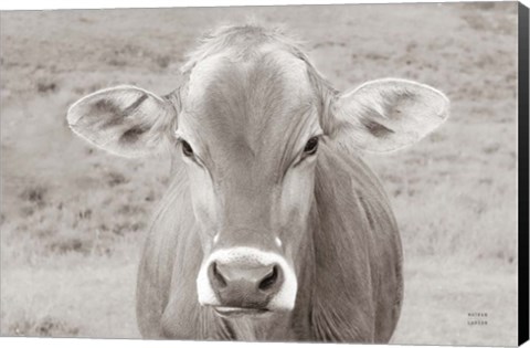 Framed Dairy Barn Neutral Print