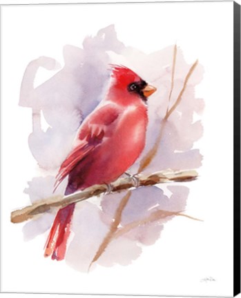 Framed Winter Cardinal Print