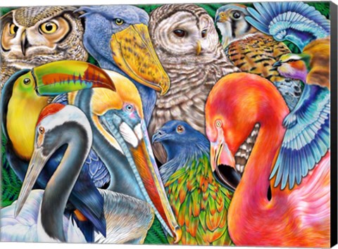Framed Collage Birds Horizontal Print