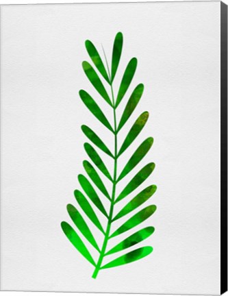 Framed Tropical Leaf II Print