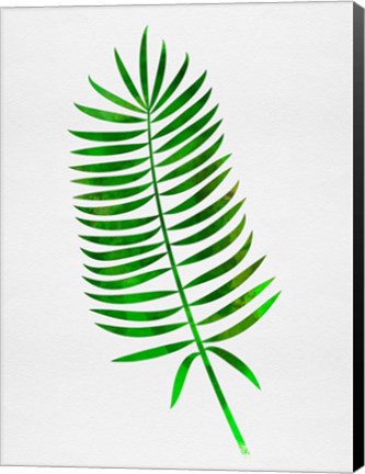 Framed Lonely Tropical Leaf I Print