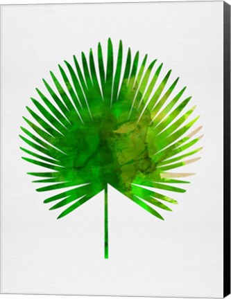 Framed Tropical Chamaerops Leaf Print