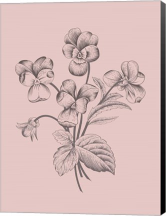 Framed Violet Blush Pink Flower Print