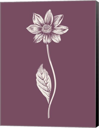 Framed Dahlia Purple Flower Print