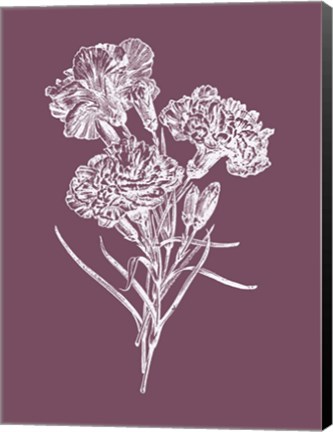 Framed Carnations Purple Flower Print