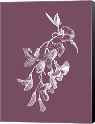 Framed Inflorescence Purple Flower Print