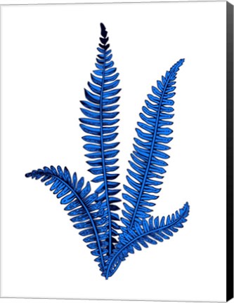 Framed Floating Blue Plant Print
