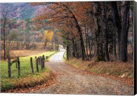 Framed Autumn Drive I Print