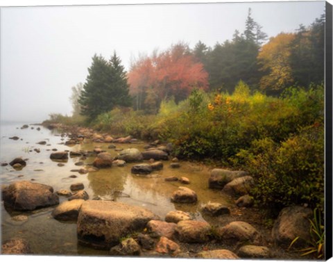 Framed Misty Maine Print