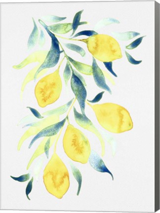 Framed Watercolor Lemons Print