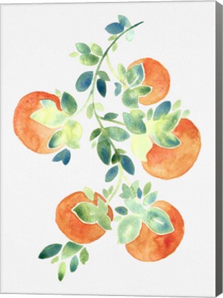 Framed Watercolor Oranges Print