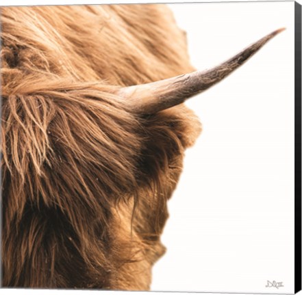 Framed Highland Horn II Print