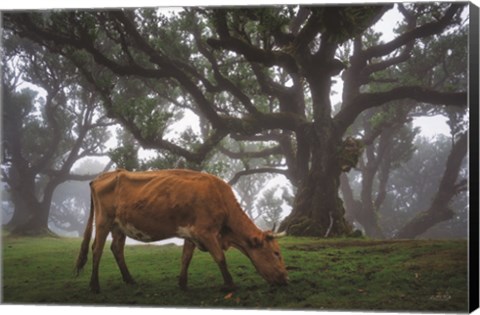 Framed Cow in the Fog Print