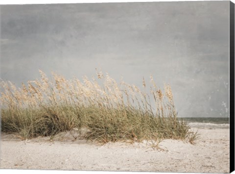 Framed Vintage Beach Grass I Print