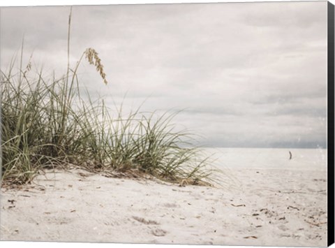 Framed Vintage Beach Grass II Print