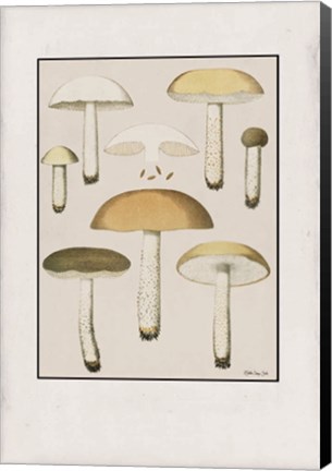 Framed Mushroom Study Print