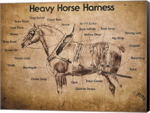 Framed Heavy Horse Harness Print