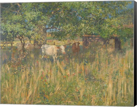 Framed Field Cows Print