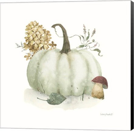 Framed Season&#39;s Study XIV Print
