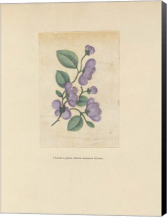 Framed Textbook Floral Pastel Print